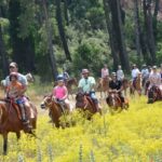 Marmaris: Horseback Riding in the Forest w/Hotel Pickup - Final Reflection: Is It Worth Your Time?
