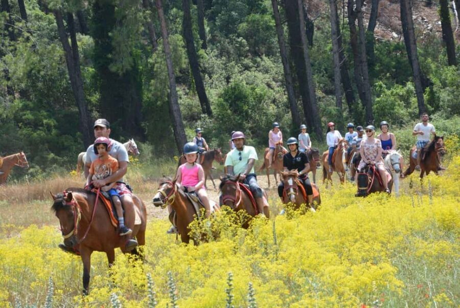 Marmaris: Horseback Riding in the Forest w/Hotel Pickup - Final Reflection: Is It Worth Your Time?