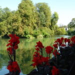 Marne River Loop Day Cruise with Lunch on Board - A Closer Look at the Experience