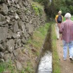 Maroços / Mimosa Valley - Levada Walk - The Guided Experience and Practical Details