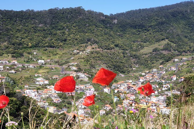Maroços - Mimosa Valley - What Visitors Say