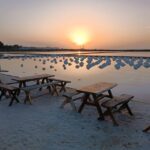 Marsala: Guided tour of the Genna Salt Pans - Why This Tour Matters