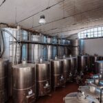 Marsala Tasting of 5 Sicilian organic wines - An In-Depth Review of the Marsala Organic Wine Tour