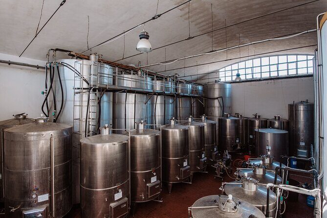 Marsala Tasting of 5 Sicilian organic wines - An In-Depth Review of the Marsala Organic Wine Tour