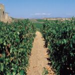 Marsala: Winery Tour with Wine Tasting and Local Products - The Location and Setting: Why It Matters