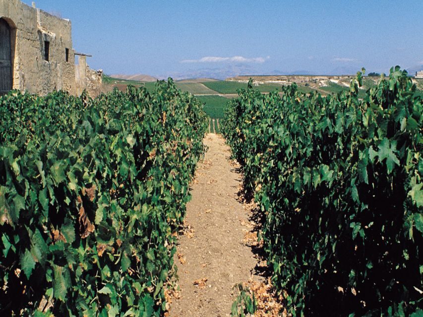 Marsala: Winery Tour with Wine Tasting and Local Products - The Location and Setting: Why It Matters