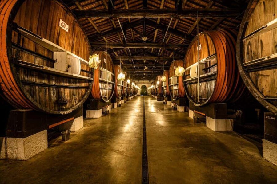 Marseillan: La Maison Noilly Prat Premium Tour - Why This Tour Is a Must-Do
