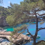 Marseille, Aix-en-Provence & Cassis 7-Hour Tour - Who Should Consider This Tour?