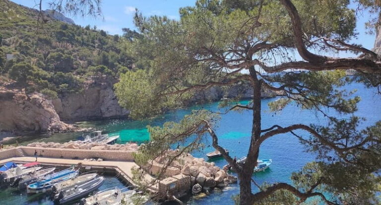 Marseille, Aix-en-Provence & Cassis 7-Hour Tour - Who Should Consider This Tour?