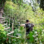 Marseille: Ecopark Adventures Treetop Adventure - The Experience: Safety, Fun, and a Breath of Fresh Air