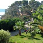 Marseille: La Ciotat Cinema & Nature Half Day Trip - The Practical Details