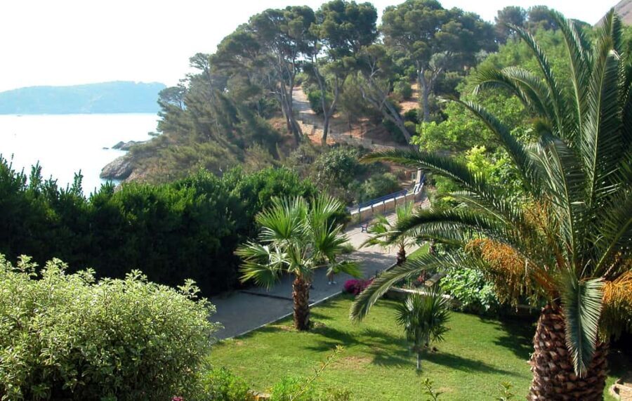 Marseille: La Ciotat Cinema & Nature Half Day Trip - The Practical Details