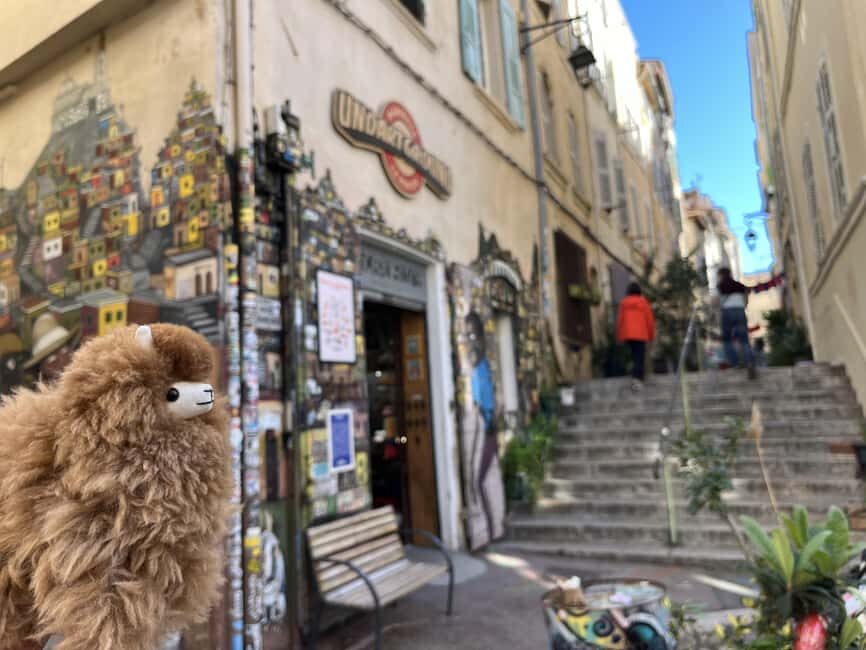 Marseille: Private Customised Walking 2-Hour Tour - An Authentic Look at Marseille in Just Two Hours