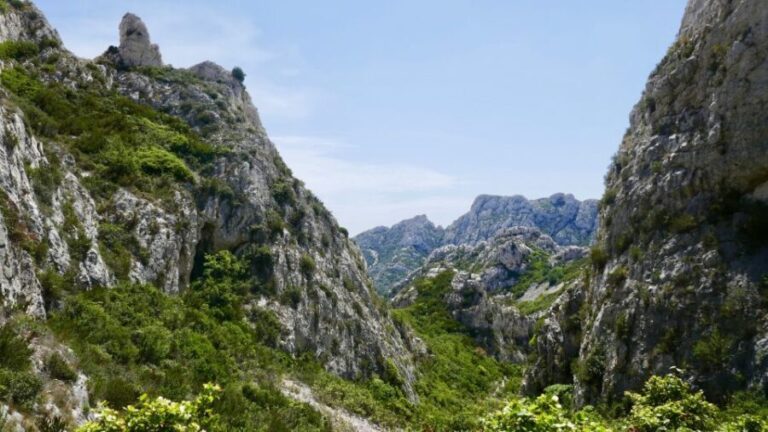 Marseille: Sormiou Calanque Half-Day Hiking Tour w/Swimming - What to Expect: Practical Details