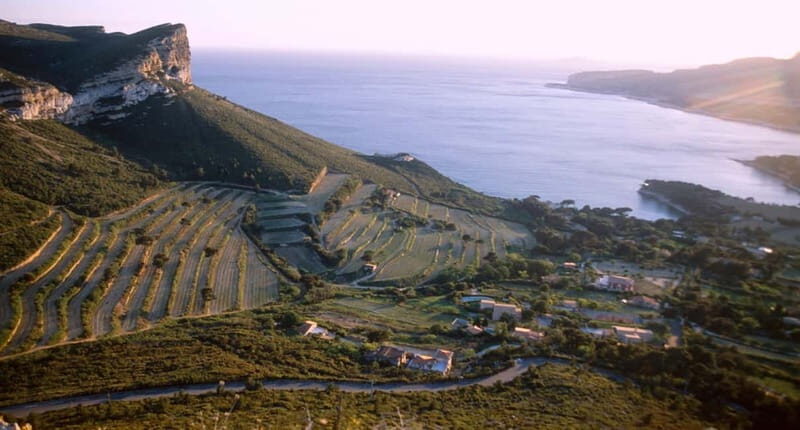 Marseille Vieux Port & Wine Tasting - Private Tour - An In-Depth Look at the Tour Experience