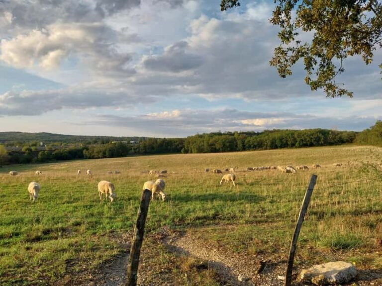 Martel: Guided Tour with a Tour Guide - The Region’s Gastronomic Heritage