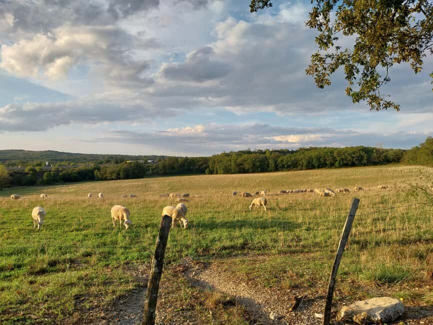 Martel: Guided Tour with a Tour Guide - The Region’s Gastronomic Heritage