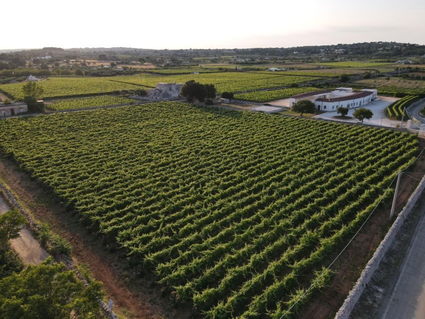 Martina Franca: Wine & Local Products Tasting - Discovering Martina Franca’s Wine Heritage