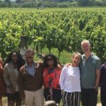 Martinborough Foodie Half Day Tour from Wellington - Stop 1: Cest Cheese — Fresh, Local, and Irresistible