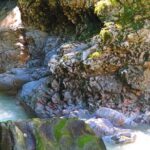 Martvili Canyon and Hanged Bridges of Okatse - Final Thoughts: Is This Tour Right for You?