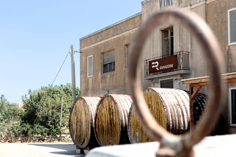 Marzamemi: Dioniso Wine Tour, Tasting & Typical Dishes - Who is This Tour Best Suited For?