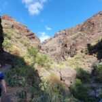 Masca Gorge Guided Hike + Boat Ride + Transport - The Details: What to Expect on This Tenerife Adventure