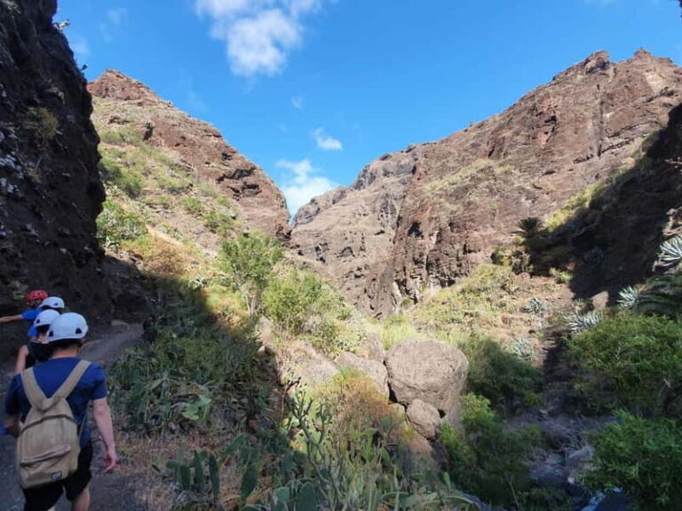 Masca Gorge Guided Hike + Boat Ride + Transport - The Details: What to Expect on This Tenerife Adventure