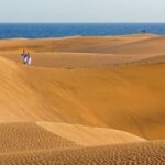 Maspalomas: Southern Coast E-Bike Tour Option Tapas Tasting - Why This Tour Works Well