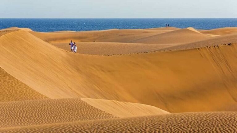 Maspalomas: Southern Coast E-Bike Tour Option Tapas Tasting - Why This Tour Works Well