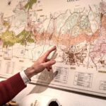 Masterclass Chardonnay - Wine tasting in Dijon - Final Thoughts
