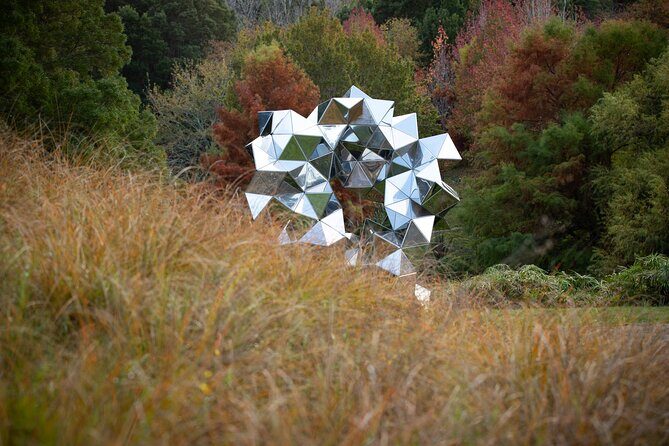 Matakana Art & Vineyard Experience incl. Lunch & Wine Tasting Tour From Auckland - An In-Depth Look at the Matakana Art & Vineyard Experience