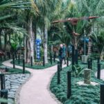 Matakana Art & Wine Village Private Tour - A Closer Look at the Matakana Art & Wine Village Tour