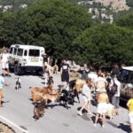 Matala Agiofarago Gorge Safari Tour - Exploring the Itinerary in Detail