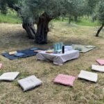 Matera: Pic-Nic under the Centuries-Old Olive Trees - Why This Tour Offers Value