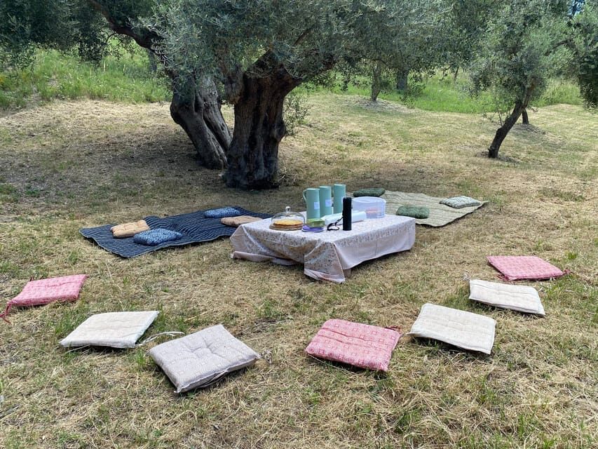 Matera: Pic-Nic under the Centuries-Old Olive Trees - Why This Tour Offers Value