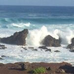 Maui Beach Hop - Detailed Review: What Makes Maui Beach Hop Stand Out