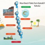 Maui Beach Parks Self-Guided Driving Tour - What Travelers Say