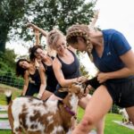 Maui Goat Yoga with Miniature Goats - An Honest Look at Maui Goat Yoga