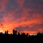 Maui Haleakala Sunrise Downhill Bike Tour with Mountain Riders Rated #1 - The Sum Up