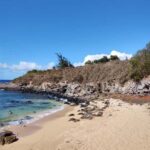Maui: Halfway to Hana Black Sand Beach & Turtles Tour - Final Thoughts