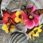 Maui: Interactive Butterfly Farm Entrance Ticket - Frequently Asked Questions