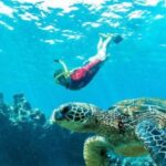 Maui: Kaanapali Beach 5-hr Snorkel w/ BBQ Lunch & Open Bar - A Closer Look at the Maui Snorkel Adventure