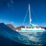 Maui: Kaanapali Dolphin Watching Boat Trip with Lunch - Who Is This Tour Best Suited For?
