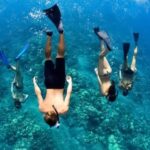 Maui: Luxury Catamaran Turtles & Tacos Snorkel - The Experience in Detail