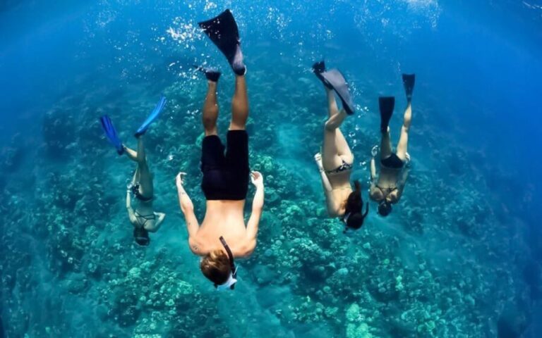 Maui: Luxury Catamaran Turtles & Tacos Snorkel - The Experience in Detail