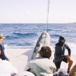 Maui: Midday Sail with the Whales Malaea Harbor - A Deep Dive into the Maui Midday Whale Sails