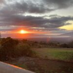 Maui Paint and Sip at Maui Bird House - Key Points