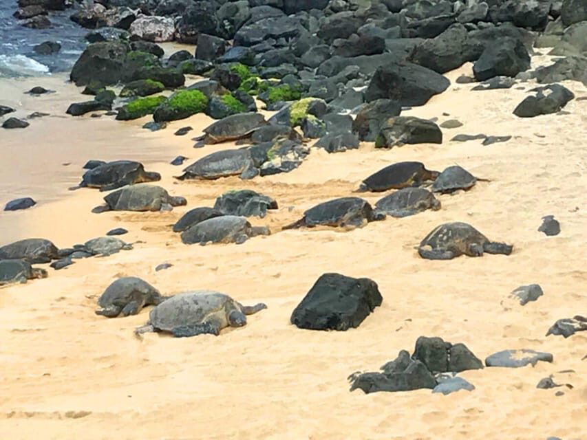 Maui: Private Halfway to Hana Tour - Practical Tips for Your Maui Road to Hana Adventure
