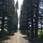 Maui : Private : Road to Hana Day Trip : Just For Your Group - An In-Depth Look at the Maui Road to Hana Tour