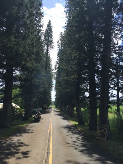 Maui : Private : Road to Hana Day Trip : Just For Your Group - An In-Depth Look at the Maui Road to Hana Tour